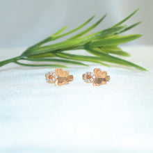 Butterfly Mariposa Huggies - Gold Plated Small Earrings for her